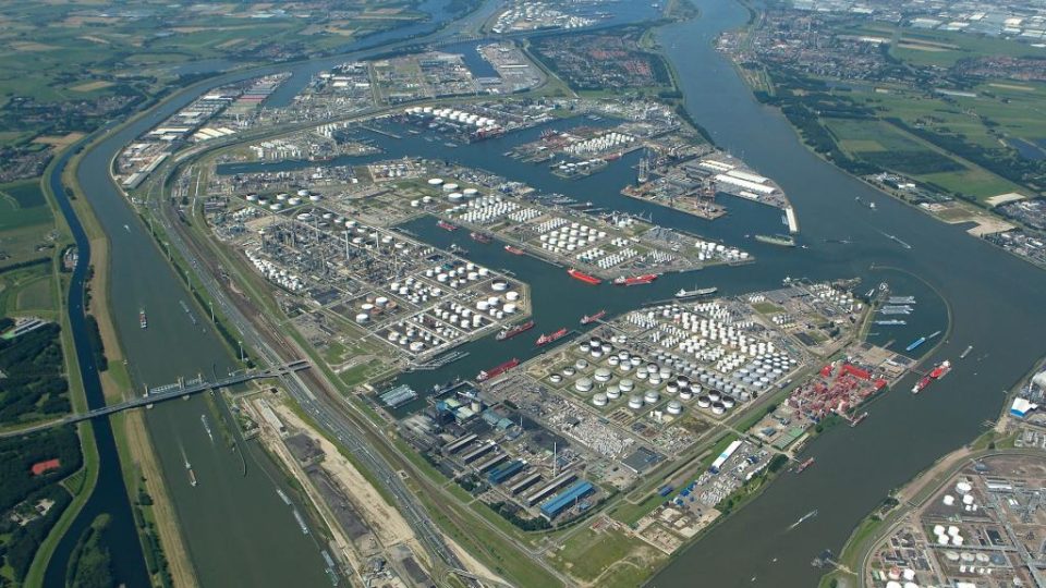 Rotterdam cluster